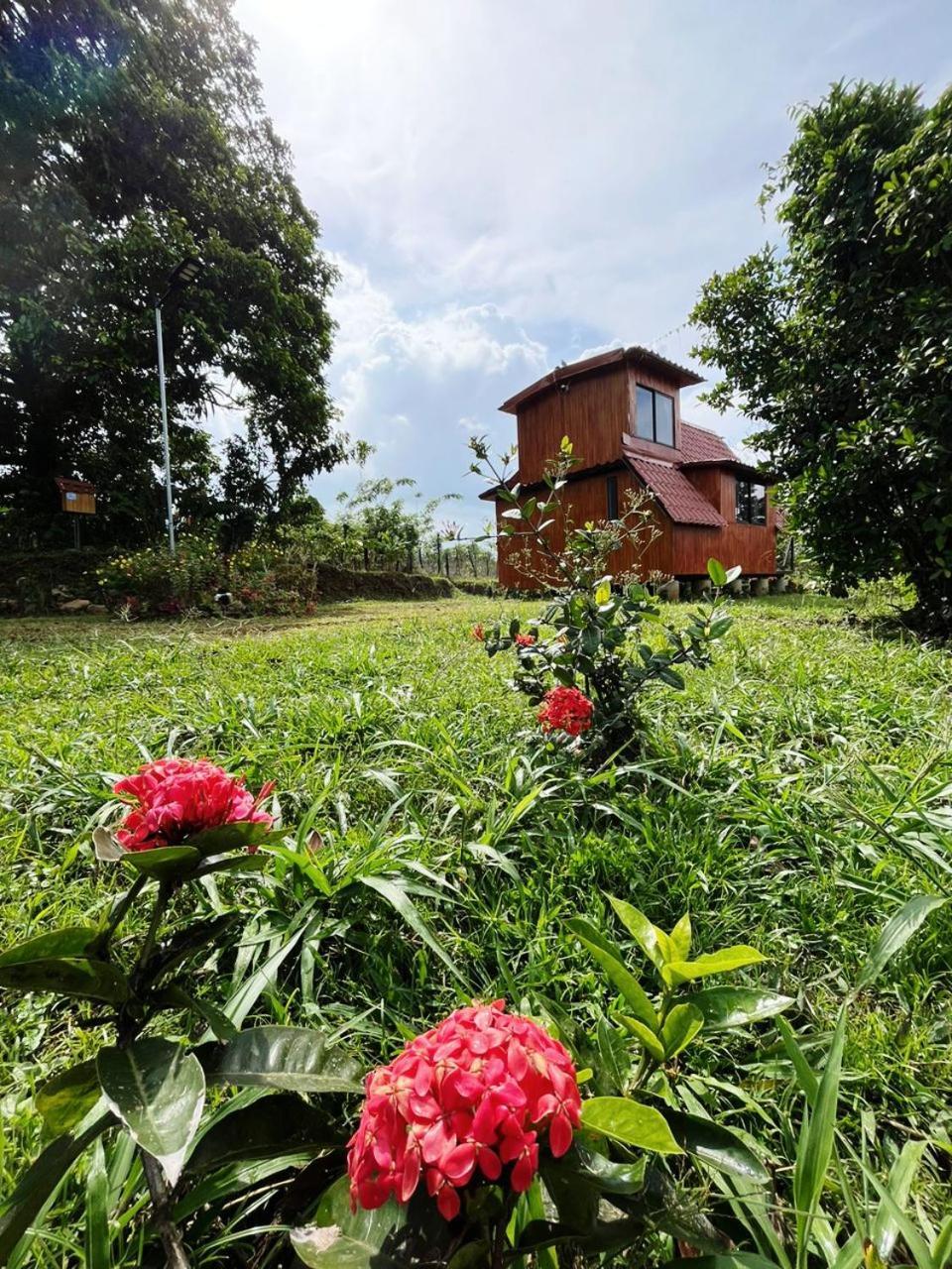 Myra Chalets Bijagua Luaran gambar